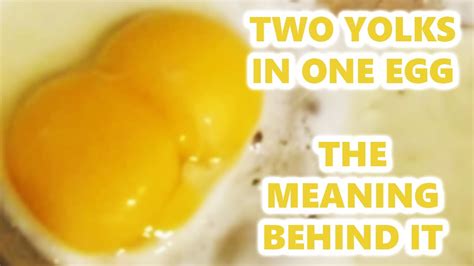 two yolks one egg